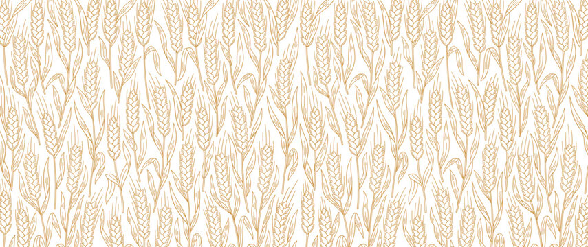Cereal wheat straw pattern background. Ears of wheat, rye or barley. Wrapping paper for bread.