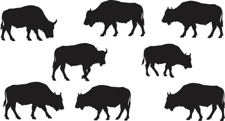 Bison silhouette, walking pose, wildlife movement, animal profile, nature icon, muscular body, black illustration, prairie life, strength, rugged terrain