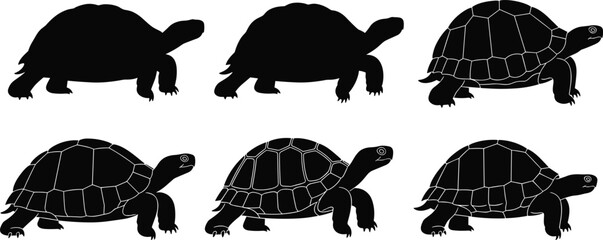 Turtle silhouette, side profile, crawling pose, shell detail, animal illustration, wildlife icon, nature symbol, black design, reptile, slow movement