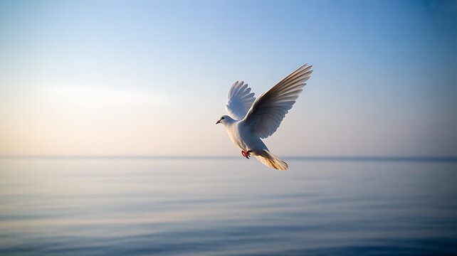 White dove flying over calm water at sunrise - Powered by Adobe