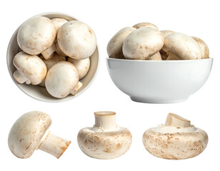 Fresh white button mushrooms in a white bowl, various angles