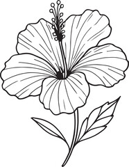 Fototapeta premium hibiscus line art silhouette vector illustration