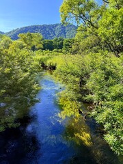 Ozegahara Wetland and Wooden Boardwalk, Oze National Park, Gunma, Japan