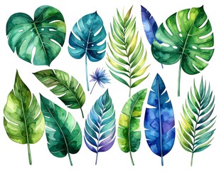 Tropical leaf collection (2)