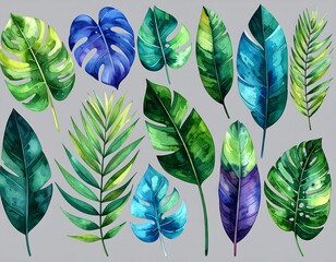 Tropical leaf collection (3)