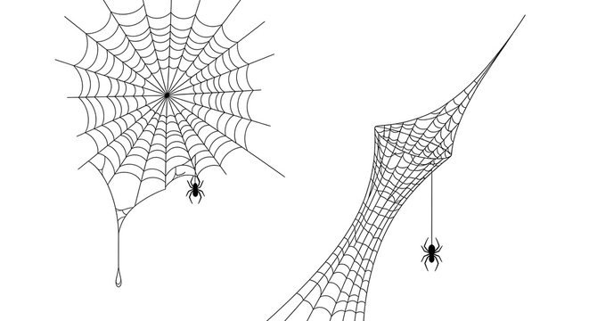 Two black and white illustrations of spider webs with spiders, one a classic orb web and the other a funnel web.
