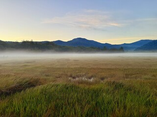 Ozegahara Wetland and Wooden Boardwalk, Oze National Park, Gunma, Japan