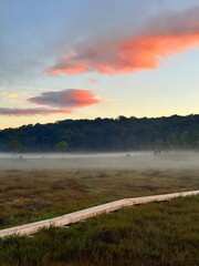 Ozegahara Wetland and Wooden Boardwalk, Oze National Park, Gunma, Japan