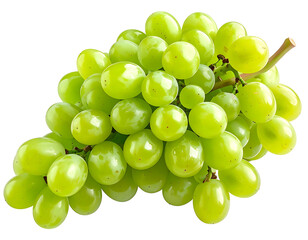 Fresh green grapes cluster
