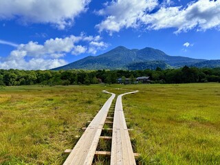 Ozegahara Wetland and Wooden Boardwalk, Oze National Park, Gunma, Japan
