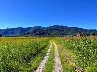 Ozegahara Wetland and Wooden Boardwalk, Oze National Park, Gunma, Japan