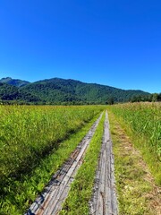 Obraz premium Ozegahara Wetland and Wooden Boardwalk, Oze National Park, Gunma, Japan