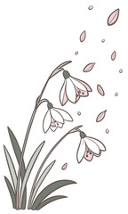 Delicate Snowdrop Flowers with Falling Petals in Soft Pastel Hues Illustration