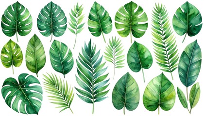 Tropical leaves collection (1)
