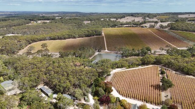 Kuitpo, Adelaide Hills, South Australia &ndash; 4K Aerial Drone Footage of Autumn Vineyards at K1 Wines, Lakeside Cellar Door, Rolling Hills, Native Forests, Scenic Wine Country in the Fleurieu Peninsula