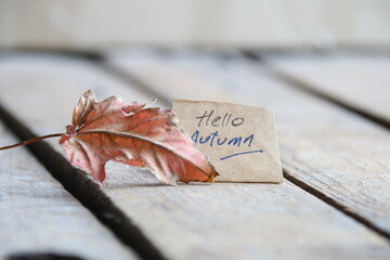 Hello autumn concept. Autumn background.