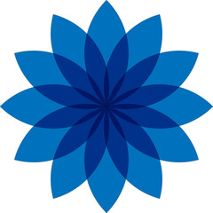 blue lotus flower