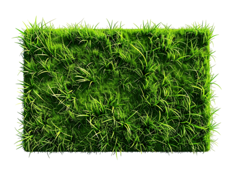 Rectangular patch of vibrant green grass (1)