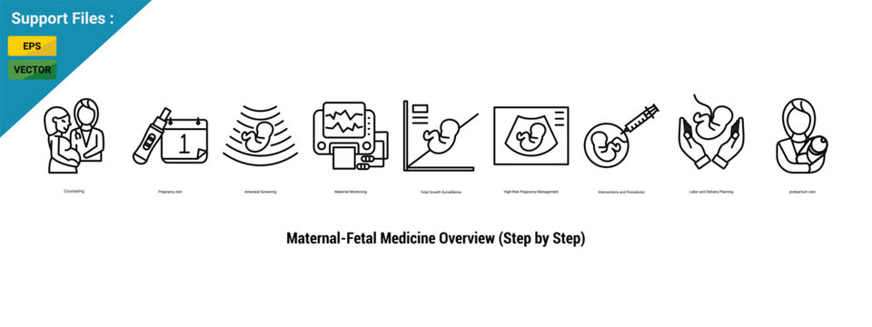 Maternal-Fetal Medicine Overview icon (Step by Step) icon set