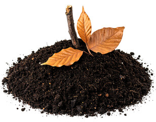 Brown leaves and twig on dark soil mound