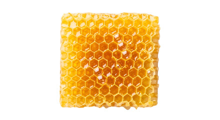 honeycomb isolated on white background