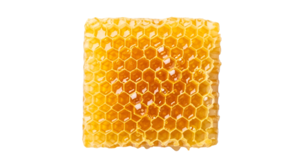 honeycomb isolated on white background