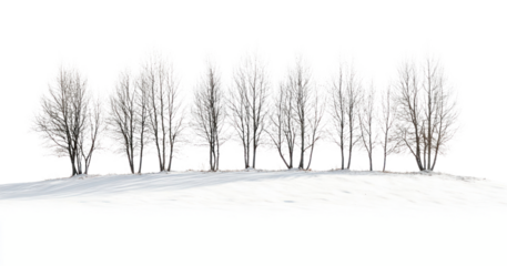 PNG Snow landscape scenery nature.