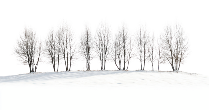 PNG Snow landscape scenery nature. - Powered by Adobe