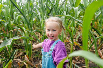 A little child girl in a denim jumpsuit in a cornfield in summer