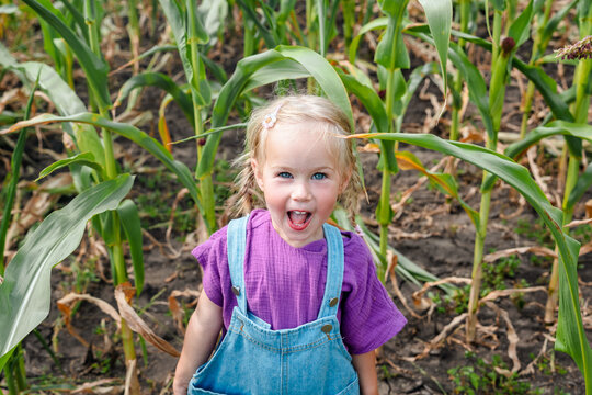 A little child girl in a denim jumpsuit in a cornfield in summer - Powered by Adobe