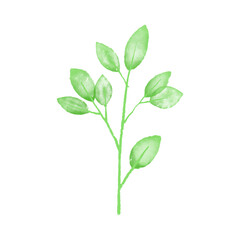 Botanical leaf doodle wildflower line art