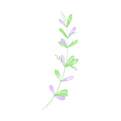 Botanical leaf doodle wildflower line art