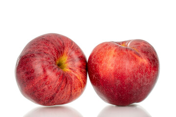 Red juicy apples isolated on white background, close-up.