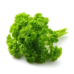 Fototapeta premium Fresh curly parsley sprigs isolated on white, vibrant green herb for culinary and healthy eating concepts