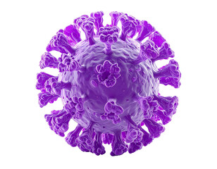 Detailed illustration of a virus