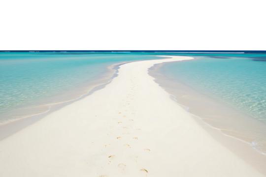 Sandy path leads to turquoise waters of a tropical beach isolated on transparent cutout background, cut out, png