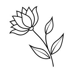 vector illustration of a plant