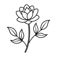 vector illustration of a lily