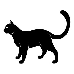 black cat silhouette