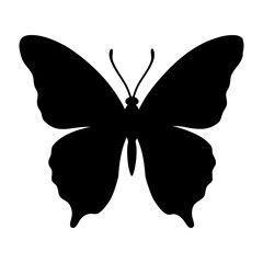 butterfly isolated on white