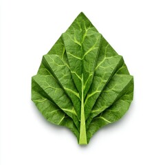 Obraz premium Intricate Green Leaf Origami on White Background