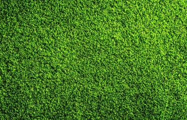 A vibrant, textured green surface resembling grass or moss, filling the frame with a consistent, lush, and slightly shadowed appearance