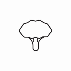 head of broccoli icon sign vector