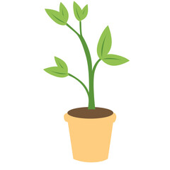 2d illustration of a potted green plant, symbolizing nature, ecology, home gardening, sustainability, environment, biology, growth, freshness, and life.
