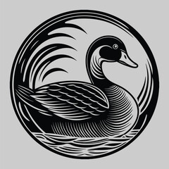 black and white swan