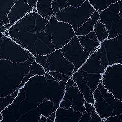 Dark, veined marble texture; intricate, swirling pattern of light grey veins on a deep black background.