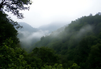 Misty Mountain Valley: Serene Landscape Photography