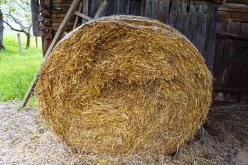 Round hay bale in farmstead barn. Symbol of rural agriculture, livestock feeding, countryside lifestyle. Represents sustainable farming, renewable natural resources, traditional agricultural practices