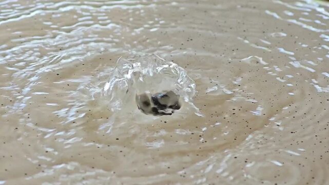 Close up decorative fountain pouring water.