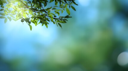 Obraz premium An abstract nature scene with blurred trees and soft sunlight creating a dreamy effect.